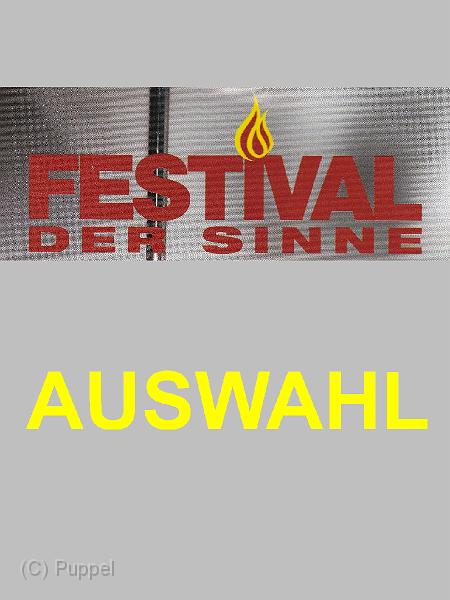 A Festival der Sinne 2016_AUSWAHL.jpg